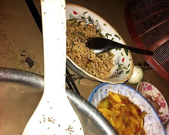 'Con trung la' o An Nhon la ruoi mat do hinh anh