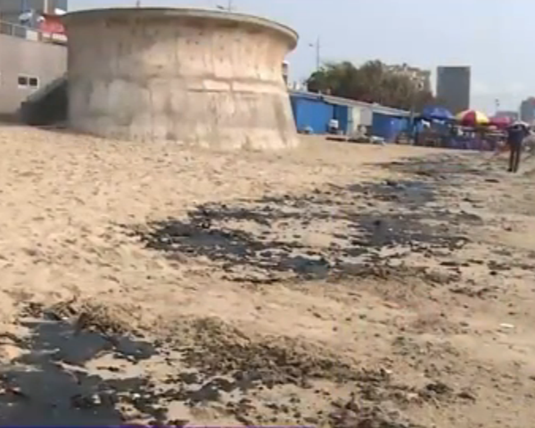 Hang chuc tan dau von cuc tran vao bai bien Vung Tau hinh anh