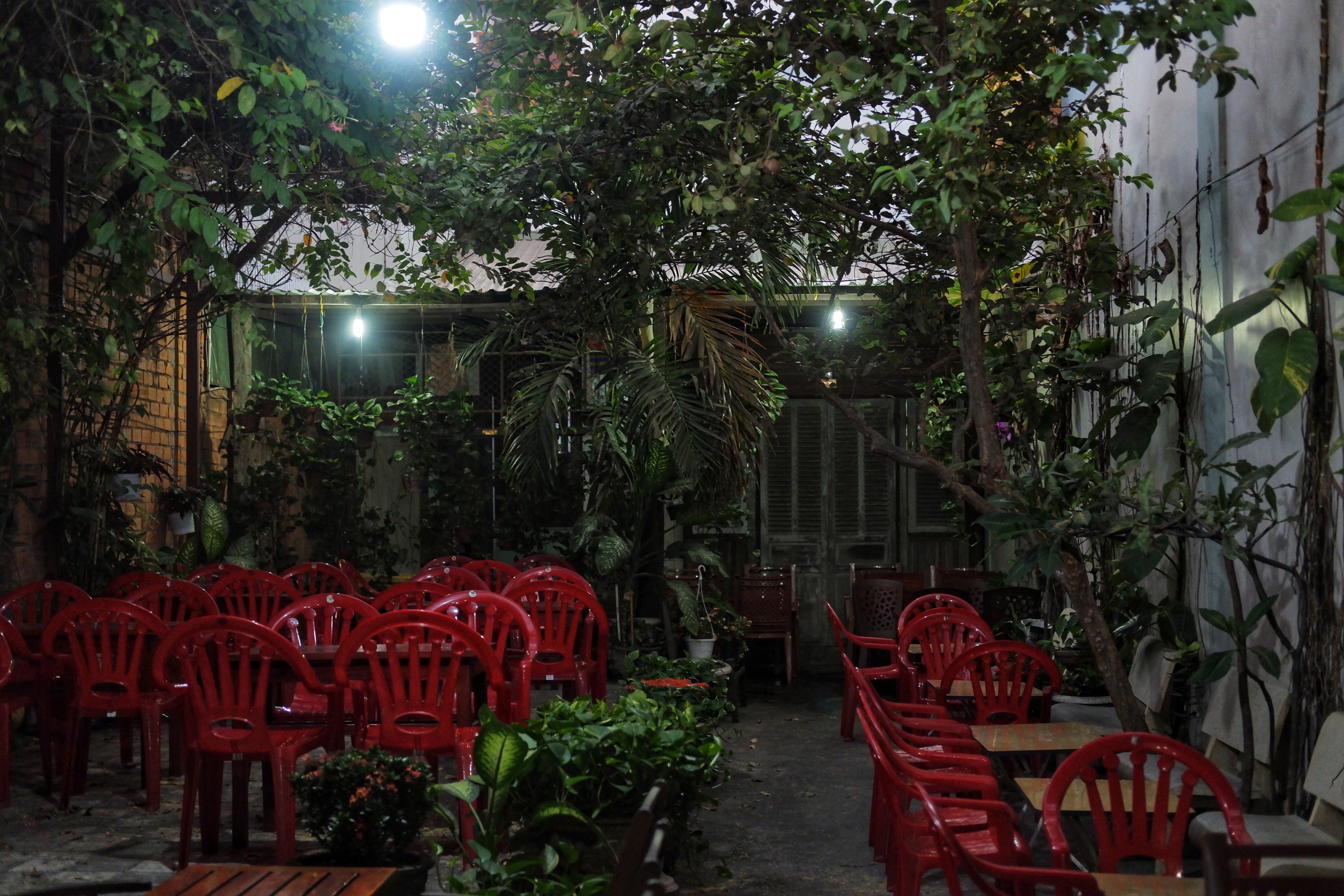 Kem flan Mong Cam anh 3