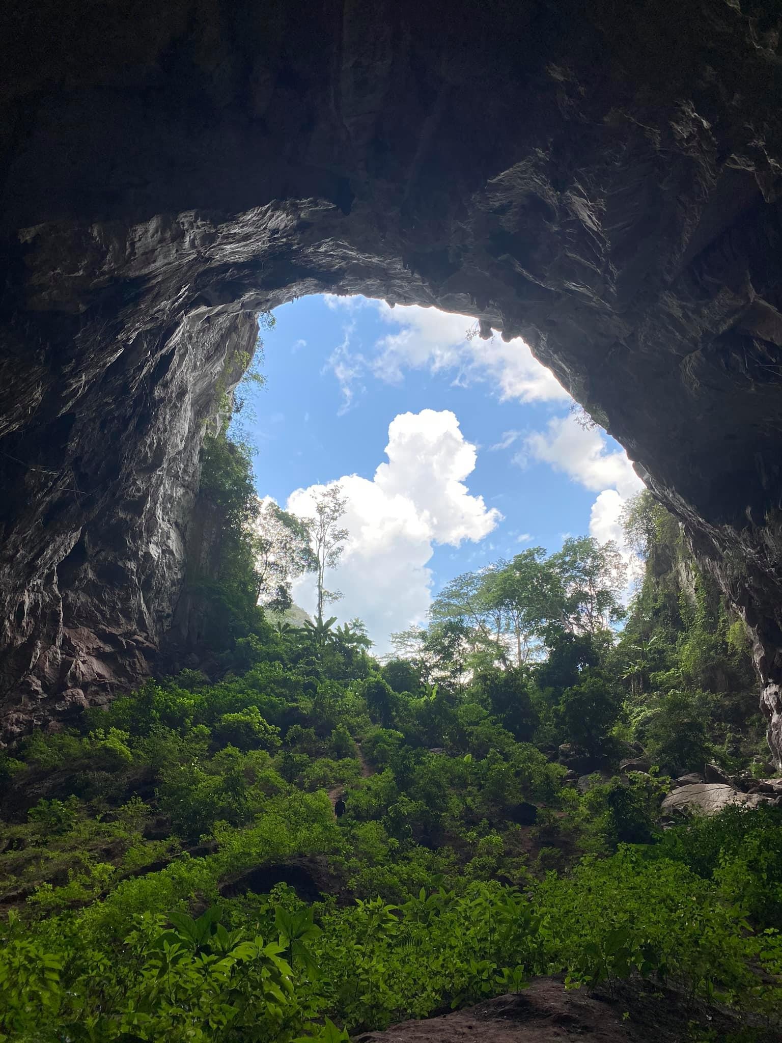 Hang dong lon thu 4 the gioi anh 3