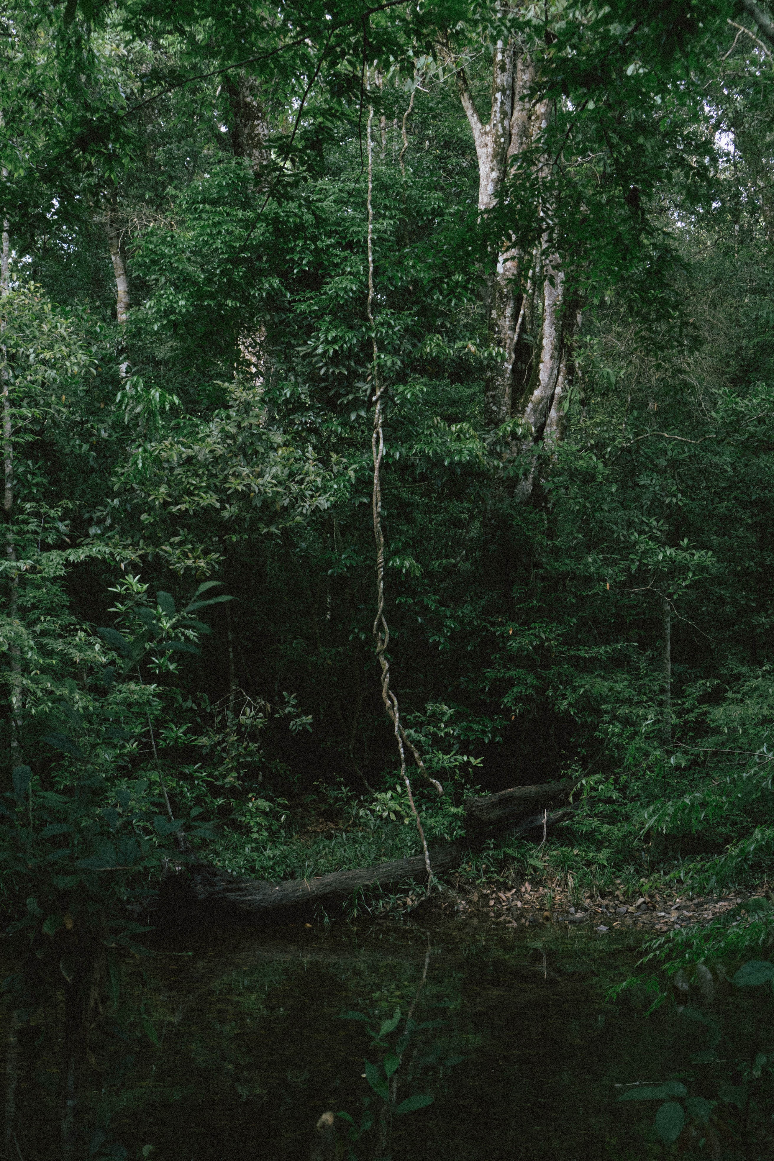 Vintage Camping anh 11