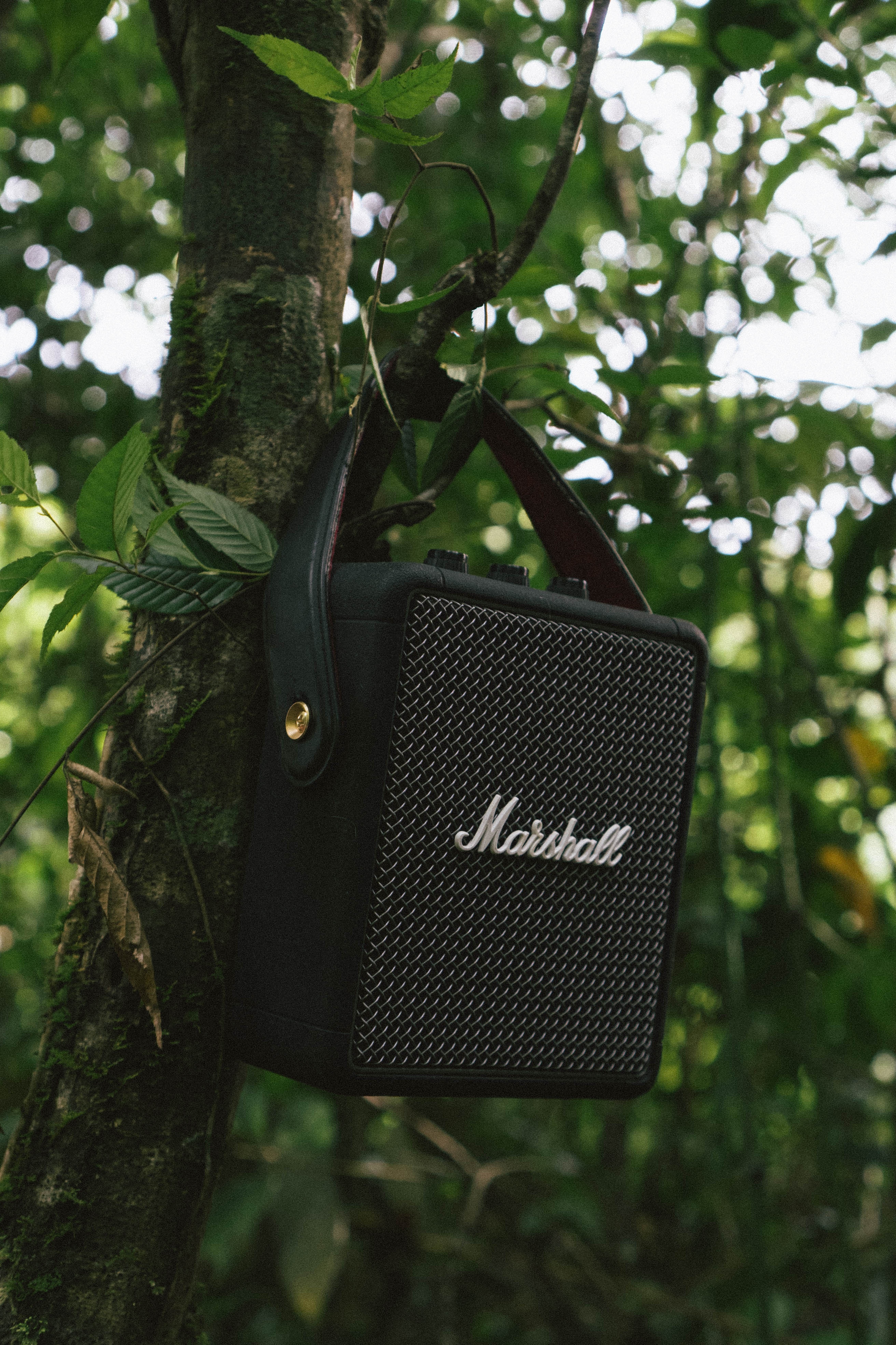 Vintage Camping anh 7