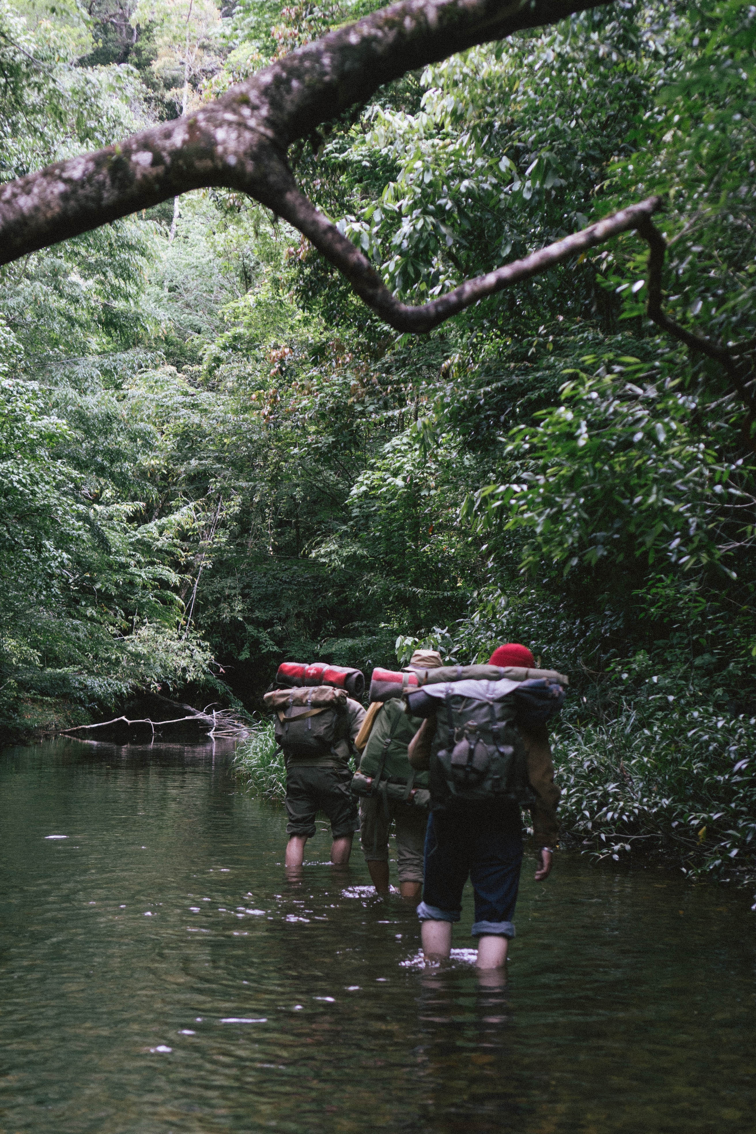 Vintage Camping anh 3