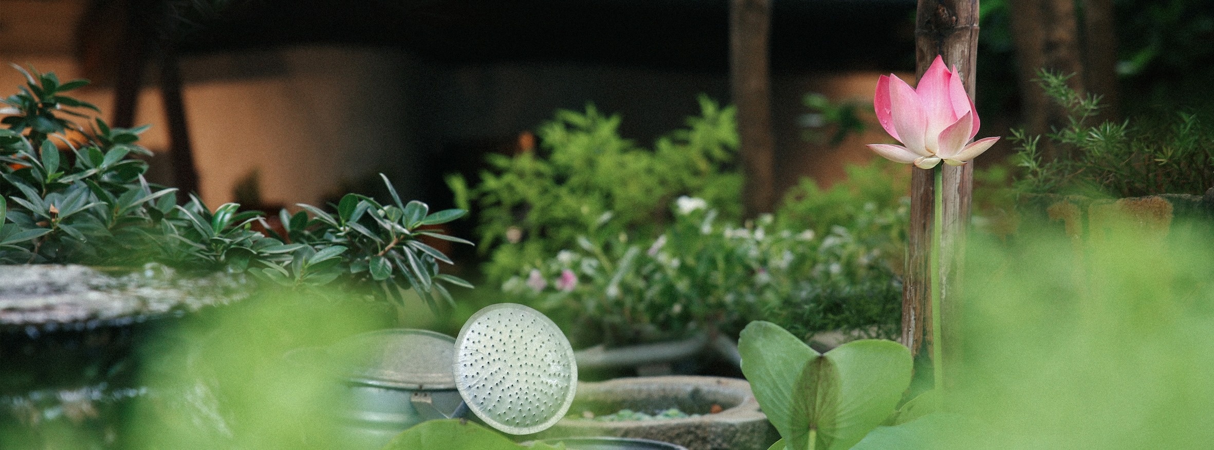 Quan chay o TP.HCM anh 3