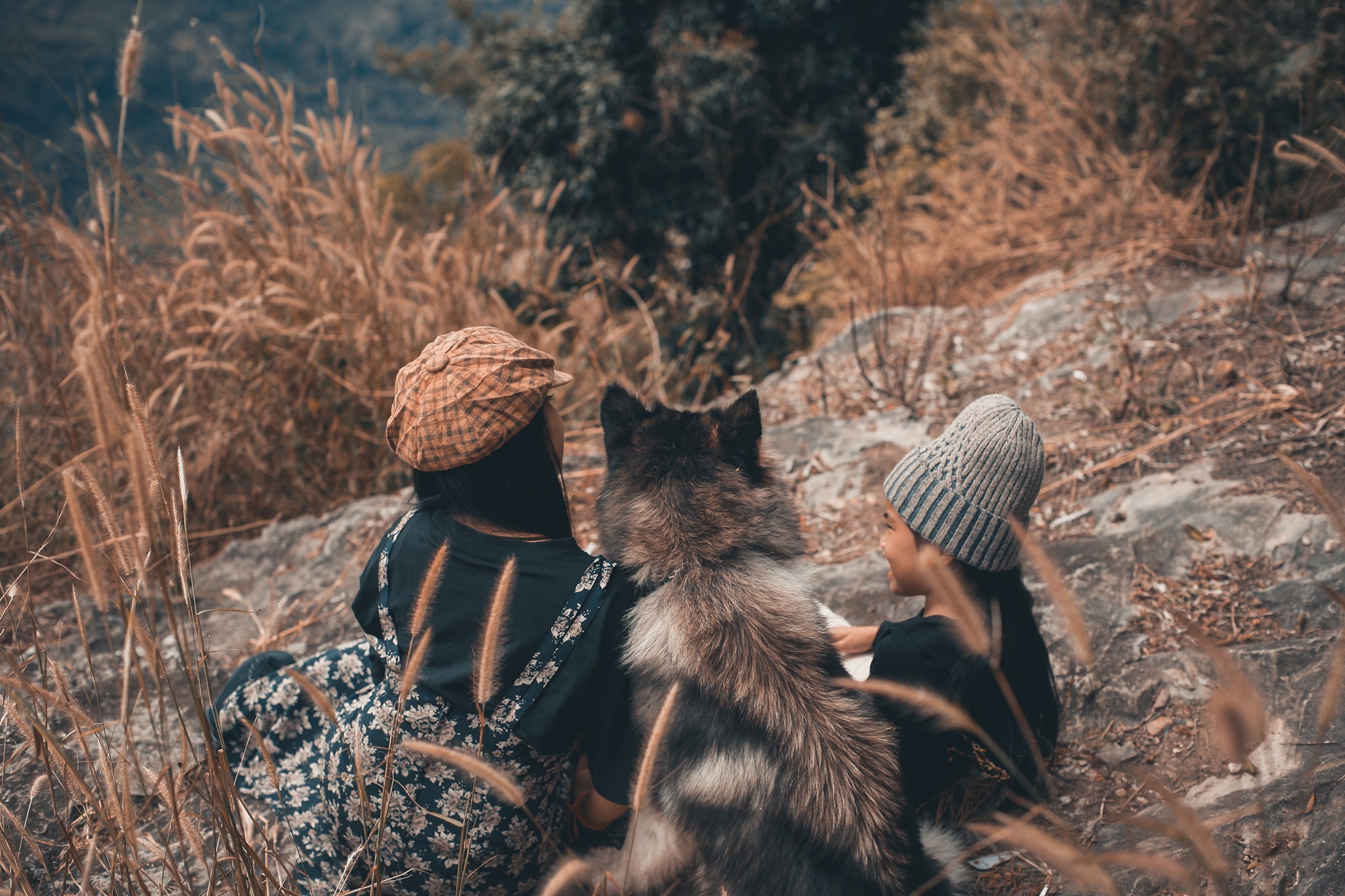 Núi Cấm ảnh 8 Nui Cam anh 8