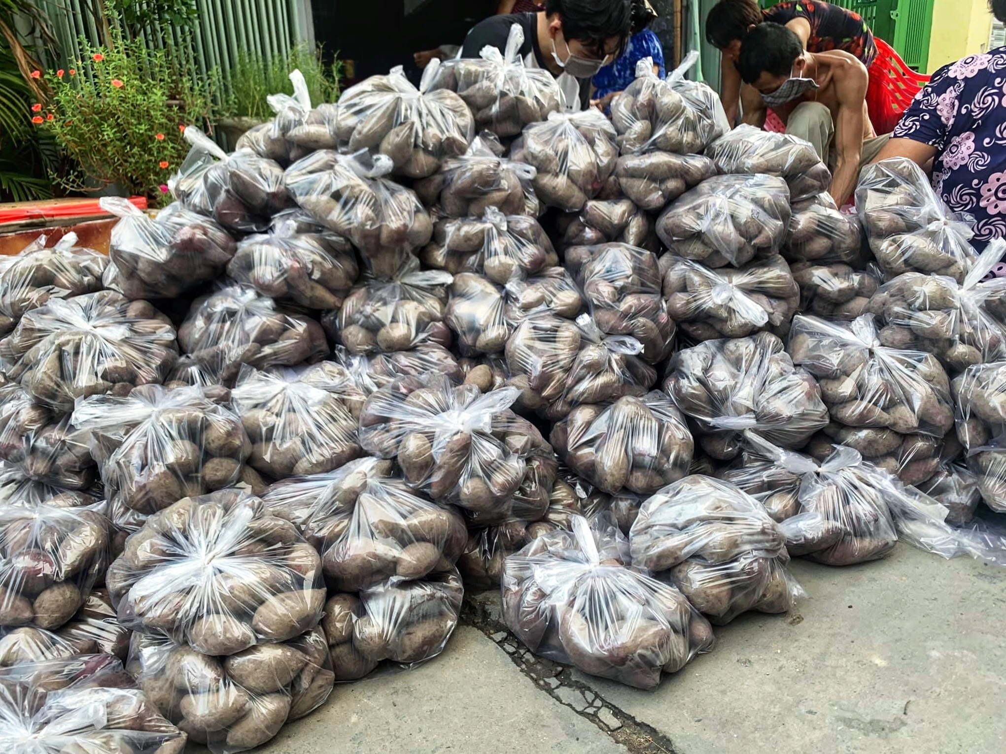 tinh nguyen vien vung dich anh 7