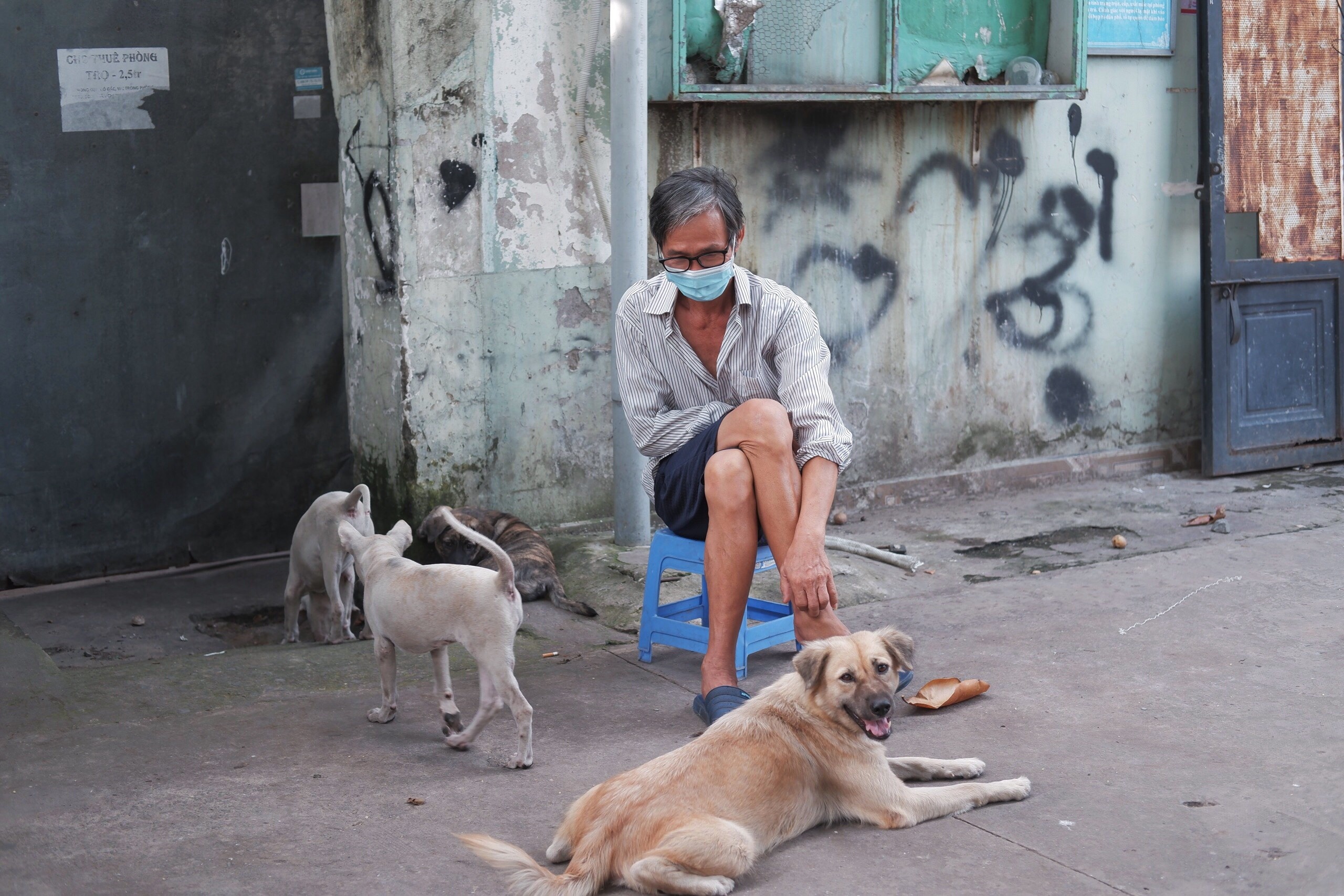 Bình thường mới ảnh 3 Binh thuong moi anh 3