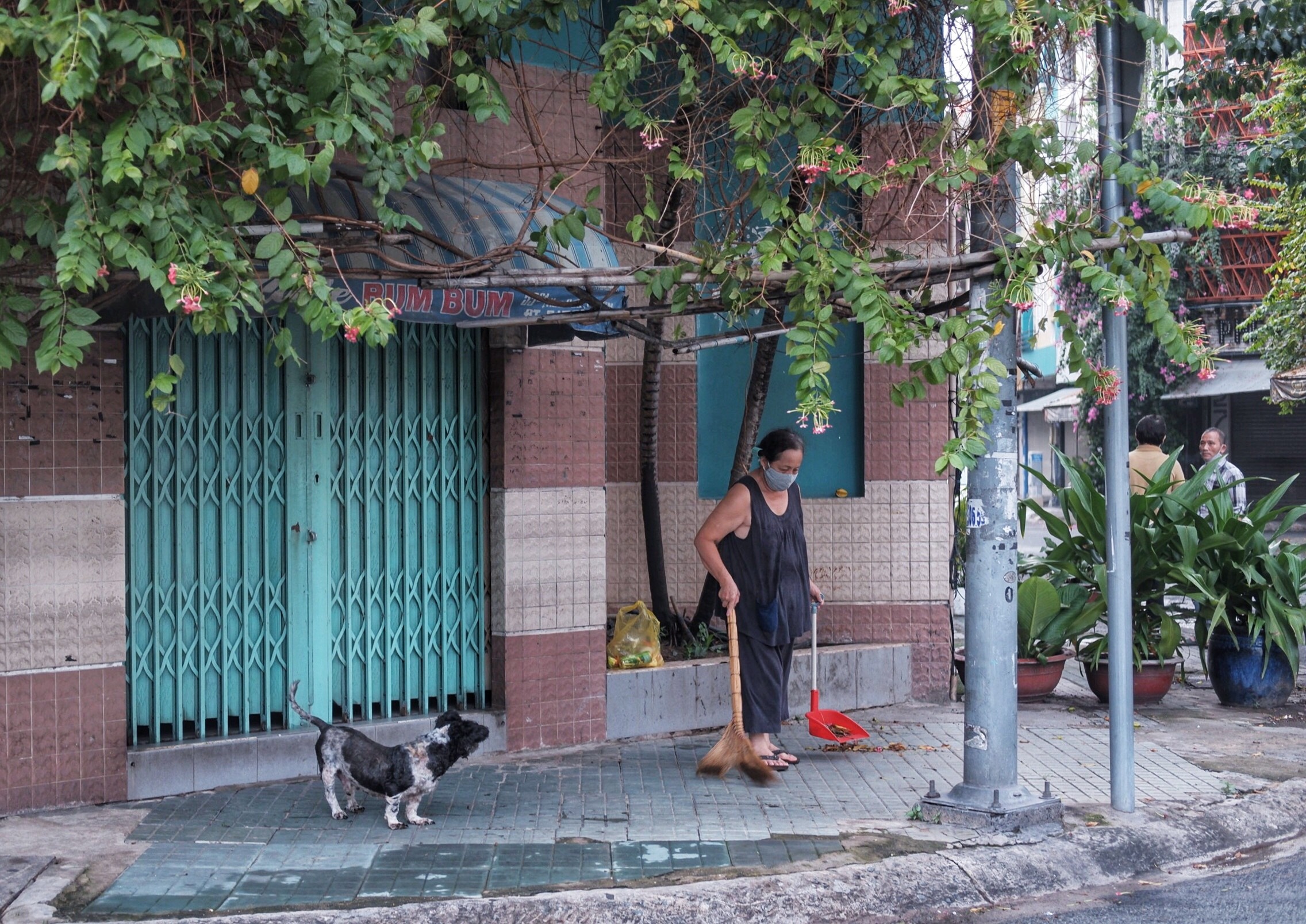 Bình thường mới ảnh 5 Binh thuong moi anh 5