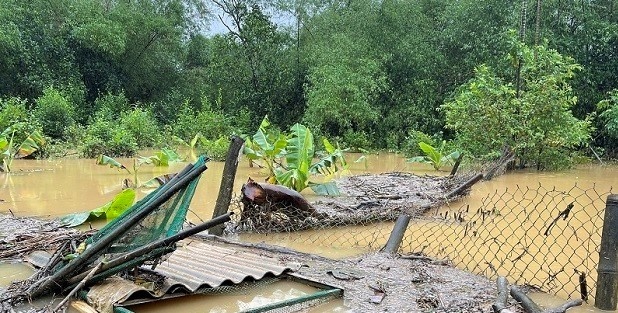 Bat ngo voi lu di thuong, ba con ua nuoc mat nhin vu mua mat trang hinh anh