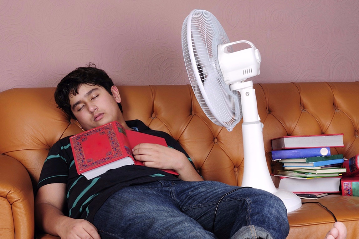 Meo mom vi gio quat, tam khuya hinh anh