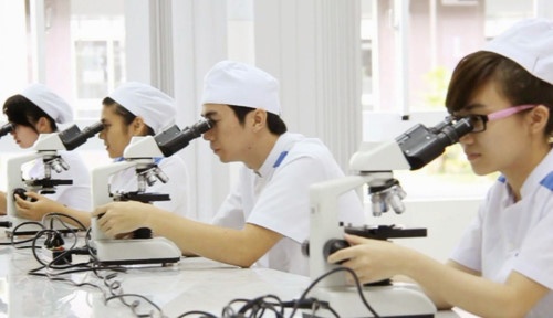 Viet Nam thanh lap Hoi dong Y khoa Quoc gia hinh anh