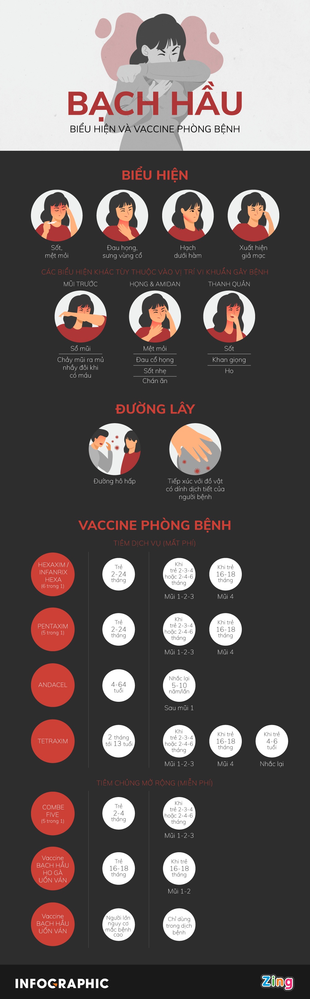 infographic bach hau, anh 1