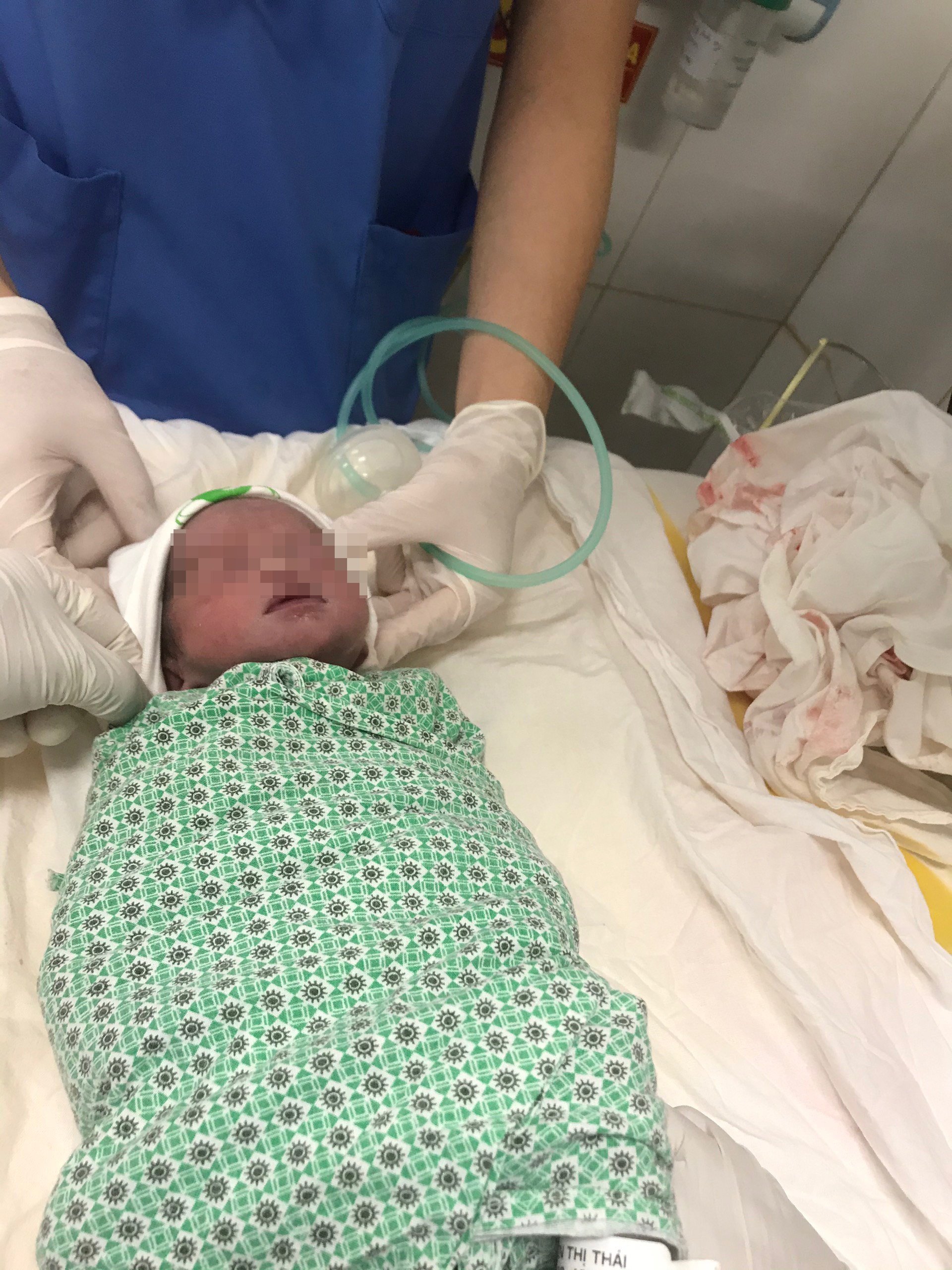 say thai song sinh anh 1