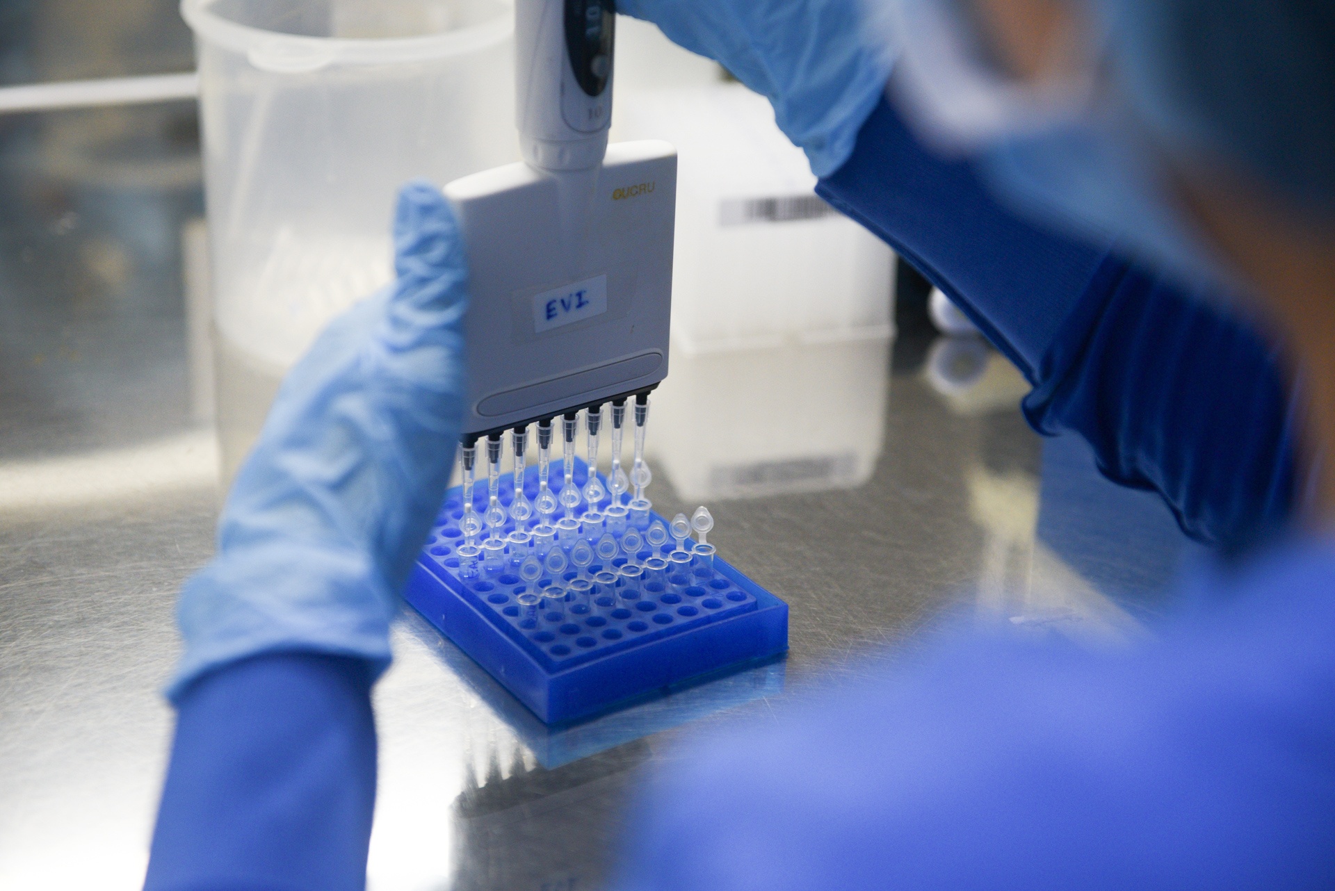 tái nhiễm SARS-CoV-2 ảnh 1 tai nhiem SARS-CoV-2 anh 1
