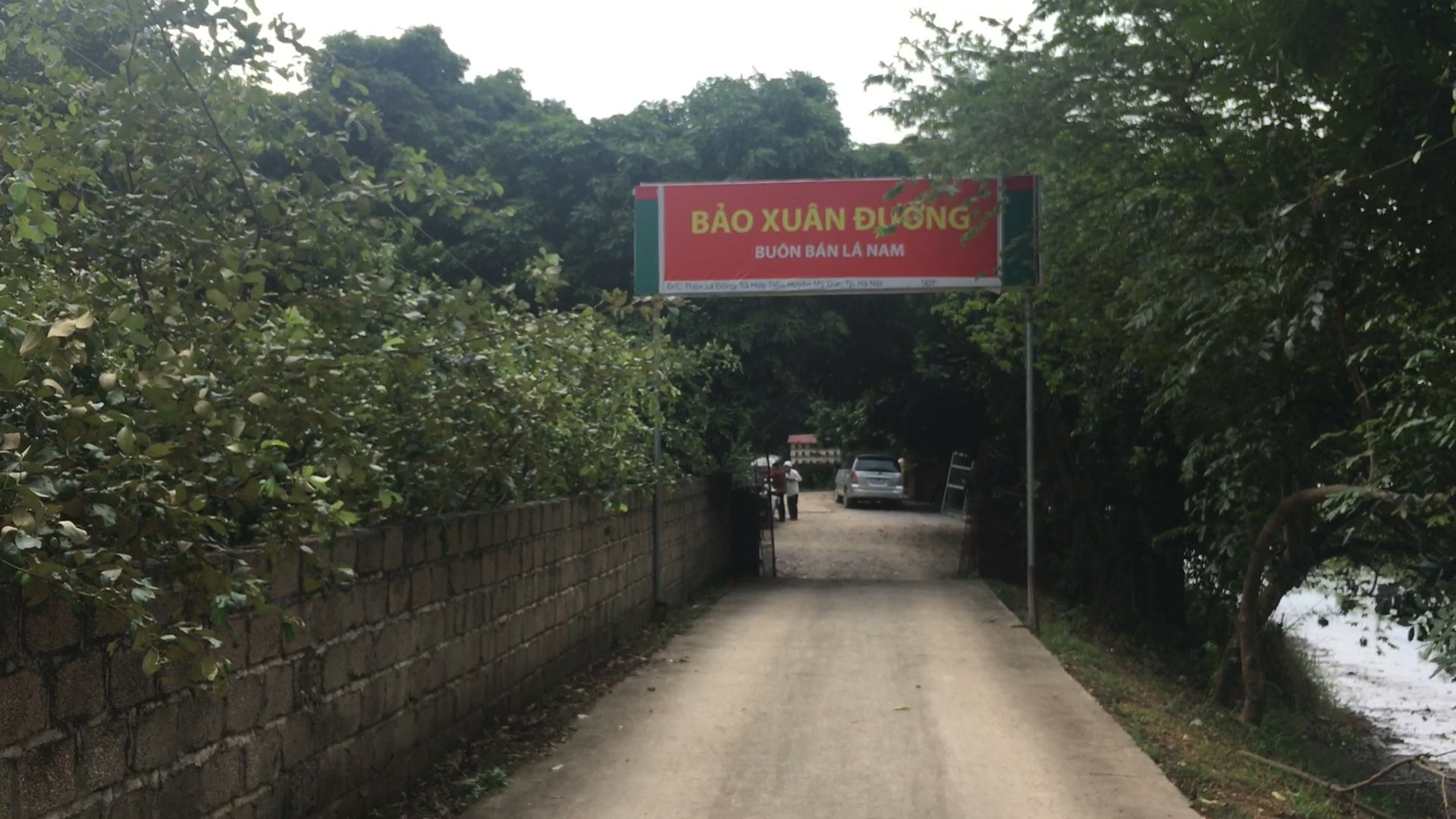 luong y tri tieu duong anh 2