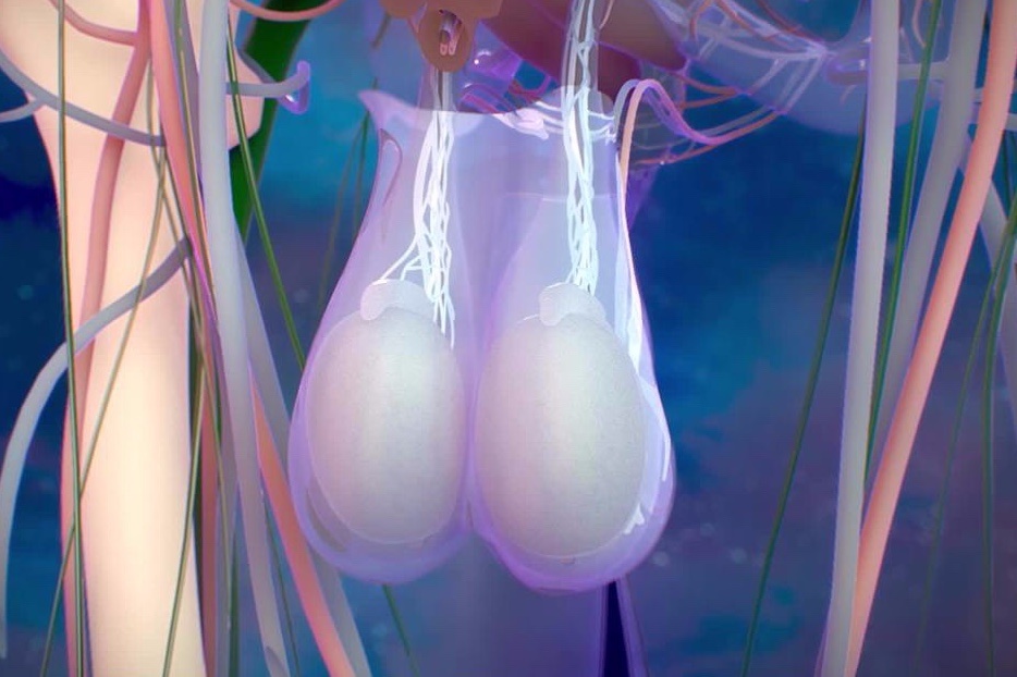 xoan tinh hoan o nam gioi anh 1