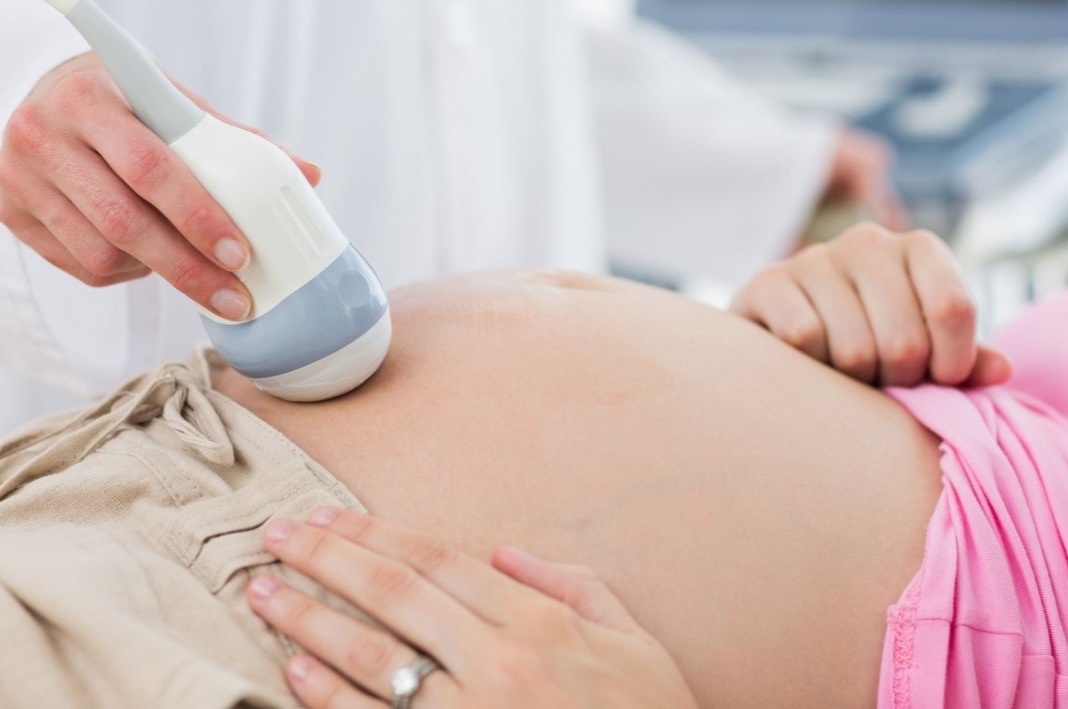 Cuu san phu mac tan mau bam sinh hinh anh