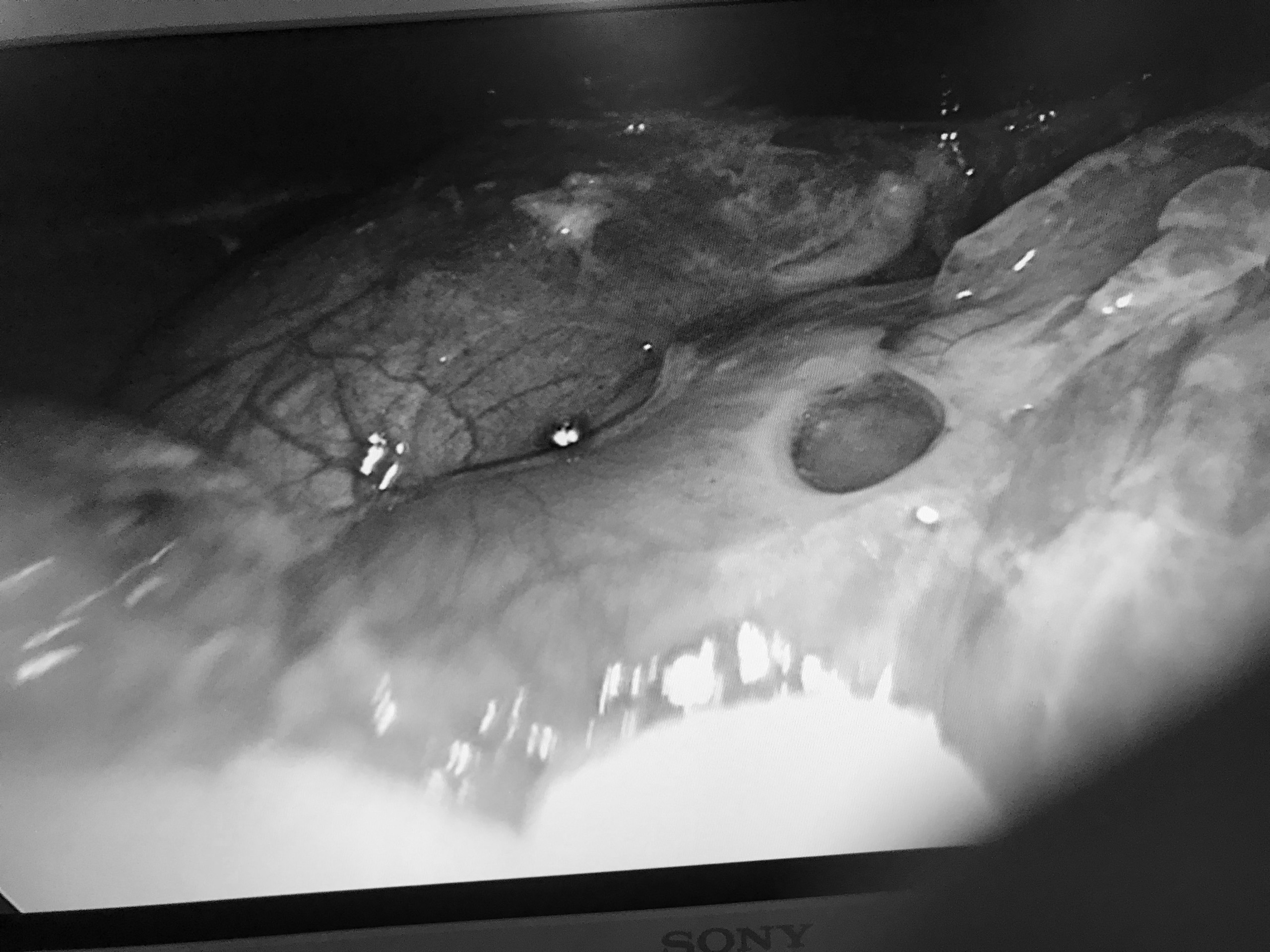 bien chung do uong thuoc nam anh 1