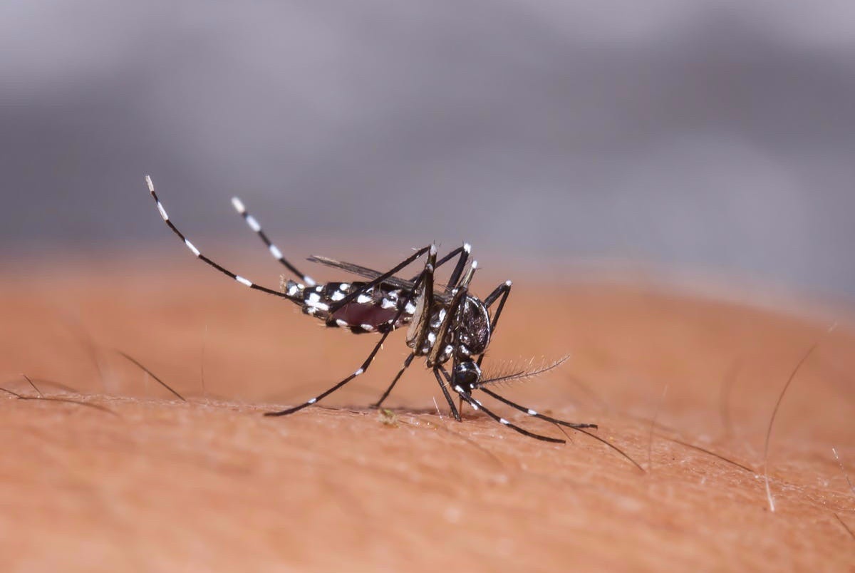 Nguy co 'dich chong dich' tai Viet Nam hinh anh