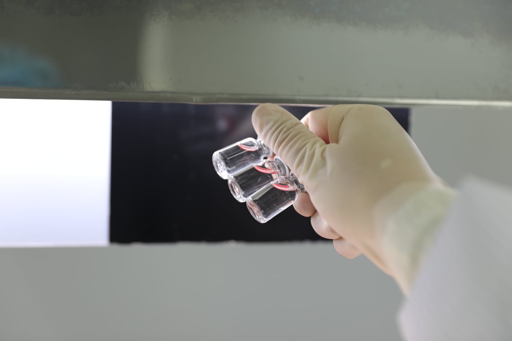 gia công vaccine sputnik v tại việt nam ảnh 8 gia cong vaccine sputnik v tai viet nam anh 8