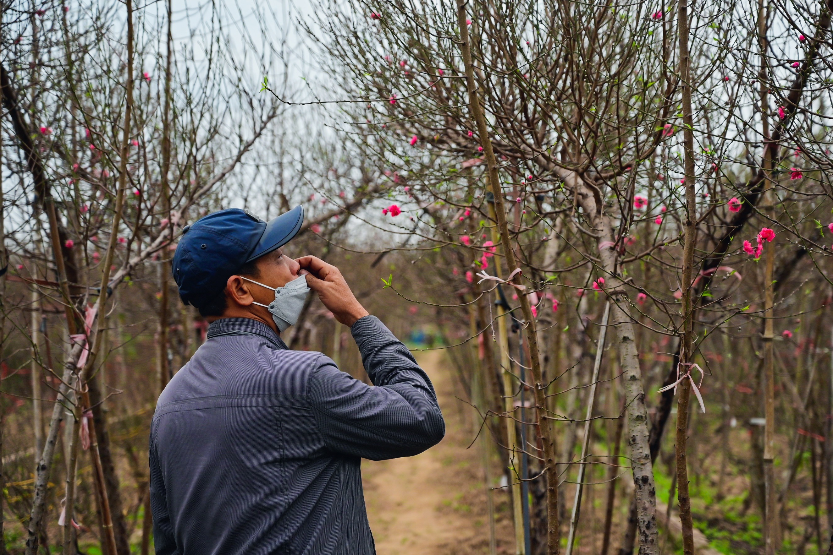 Khong can cam di lai dip Tet nhung nguoi dan phai chu y an toan hinh anh