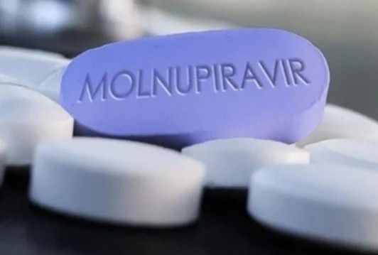 Ha Noi phan bo khan hon 400.000 vien Molnupiravir hinh anh