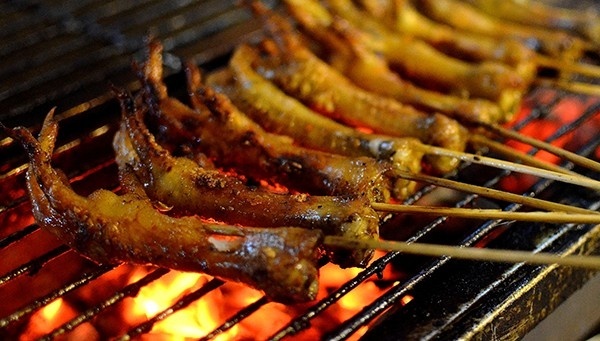 su that tac hai cua chan ga anh 2