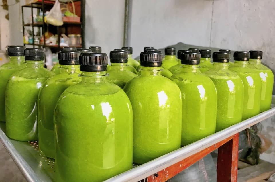Lo ngai lieu trinh detox bang sinh to hinh anh