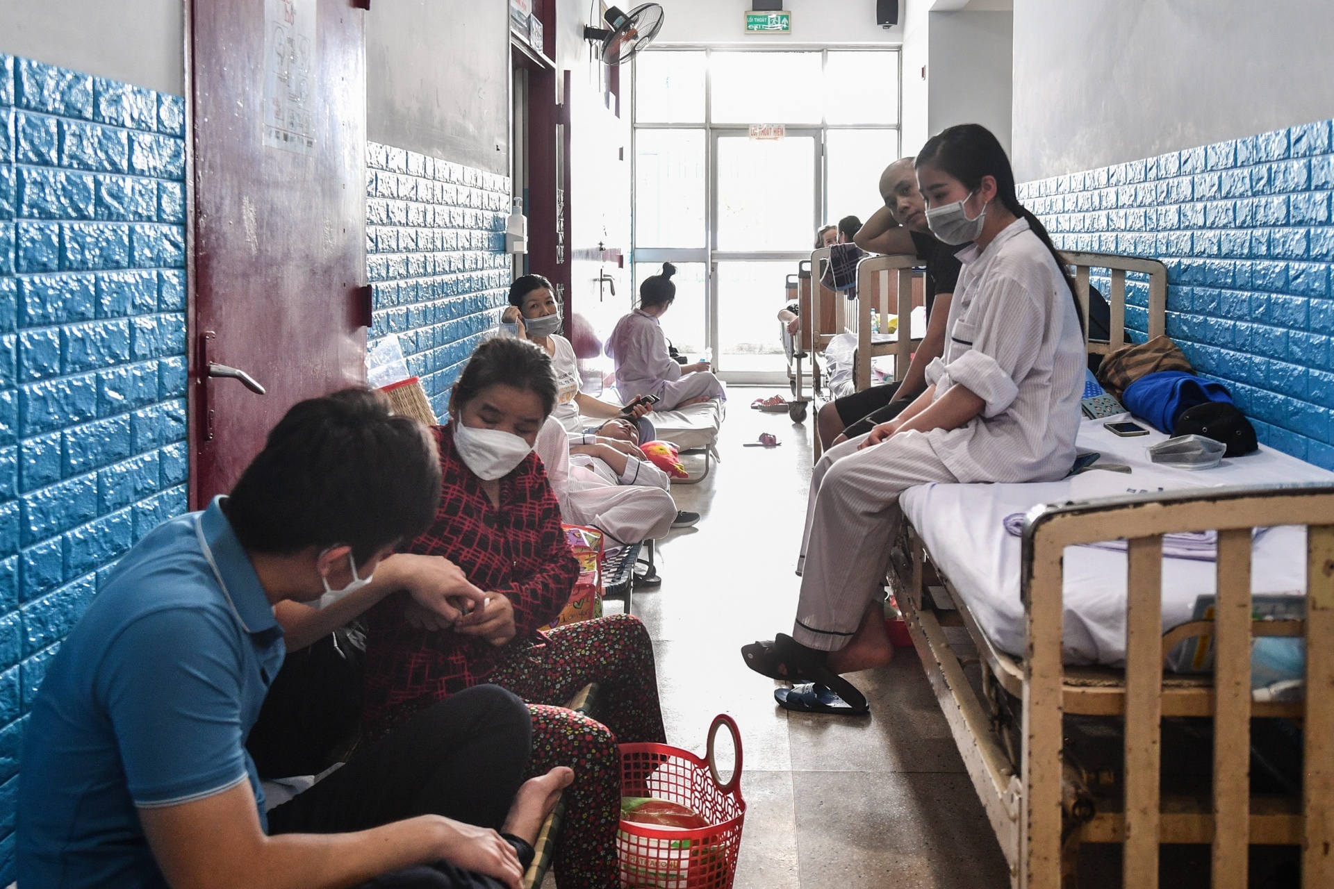 benh vien tp.hcm qua tai vi sot xuat huyet anh 2