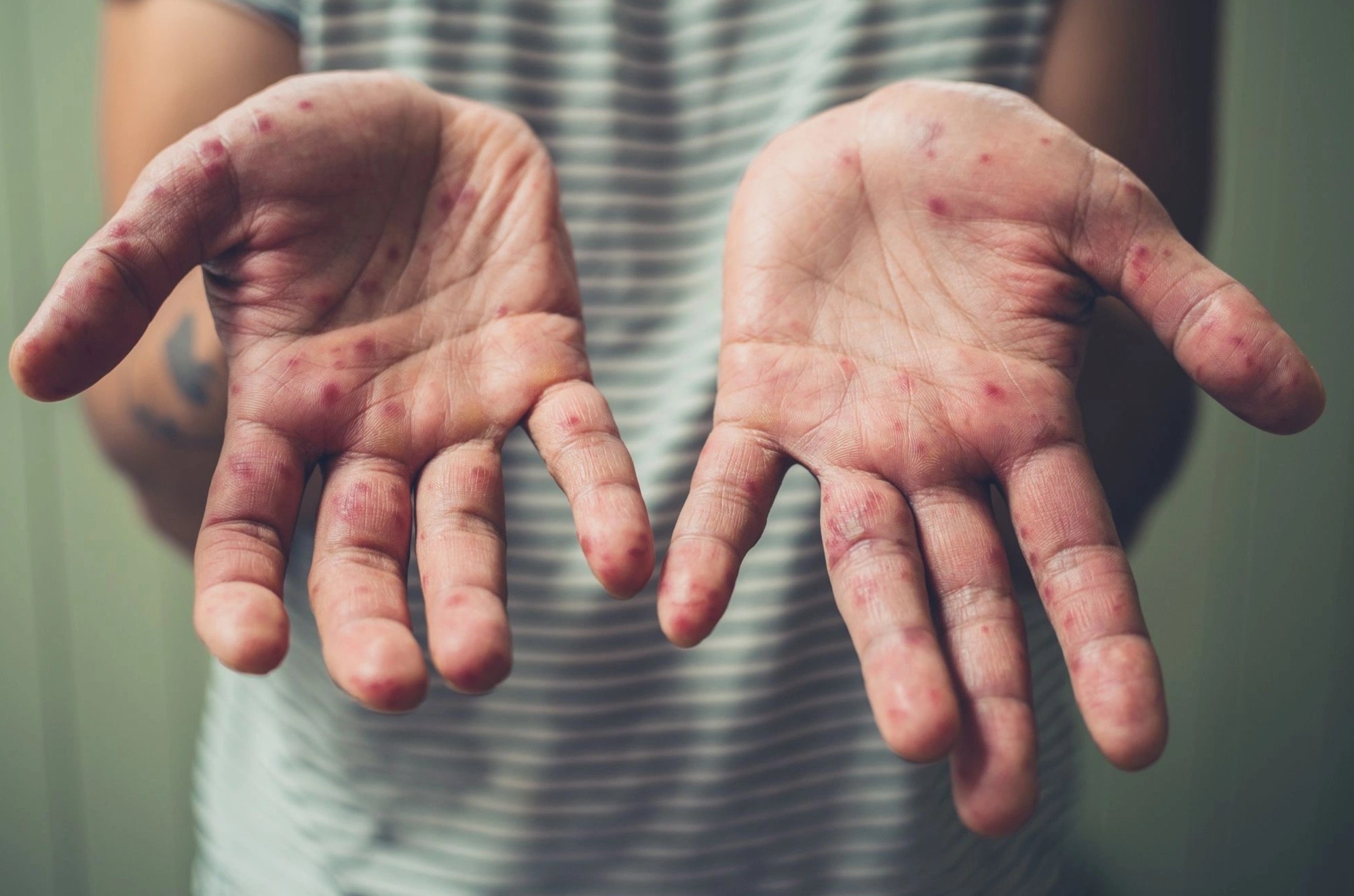 8 dieu can biet ve dau mua khi hinh anh