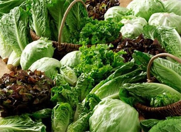 sieu thuc pham nguoi gia anh 2