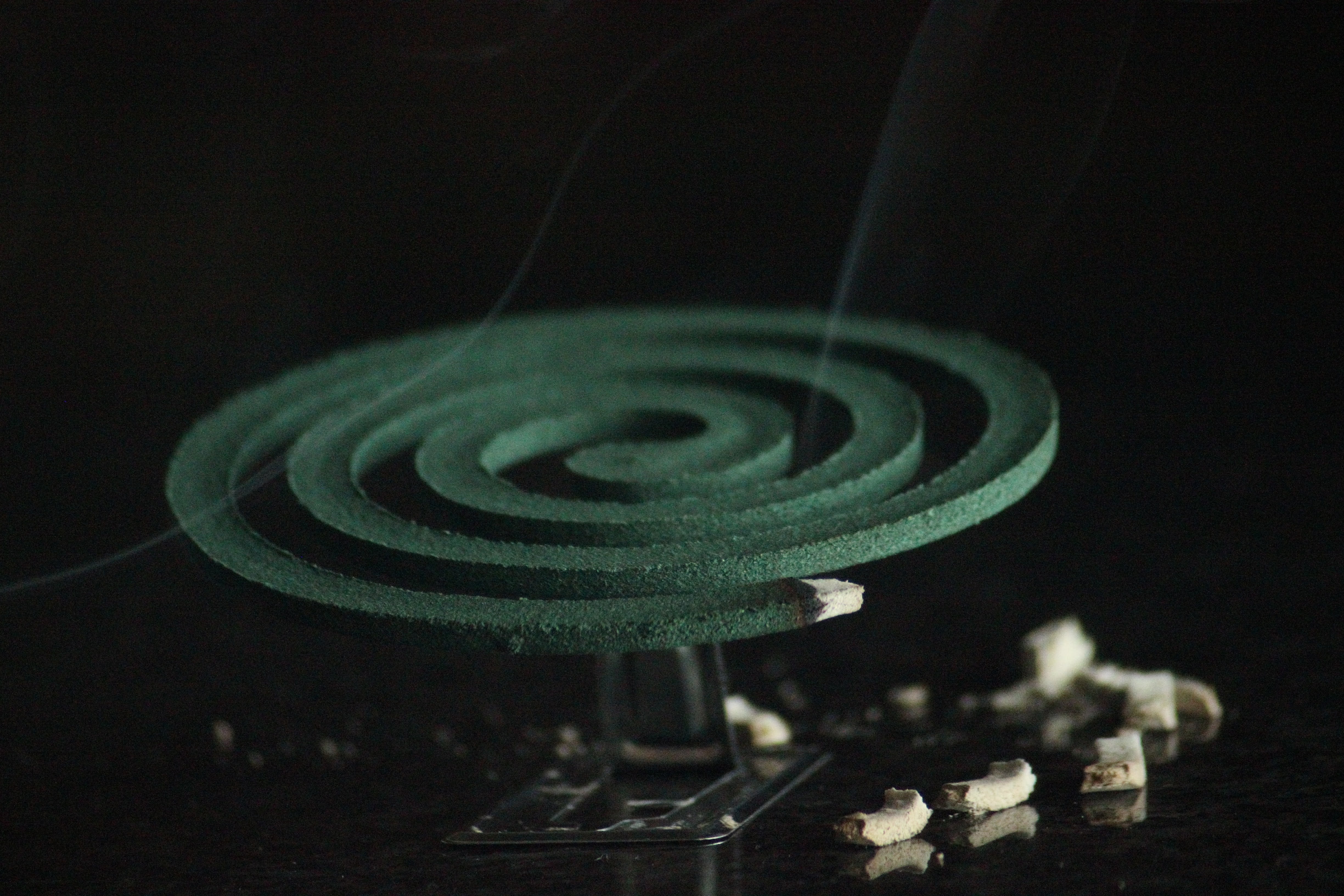 vi sao chi minh toi bi muoi dot anh 2