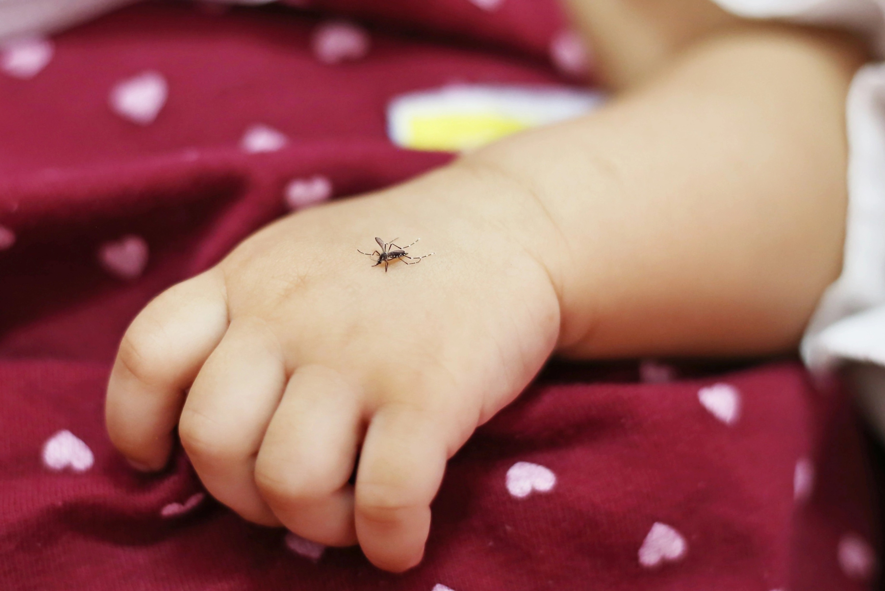 Loai virus lay qua muoi co the gay ton thuong than kinh hinh anh