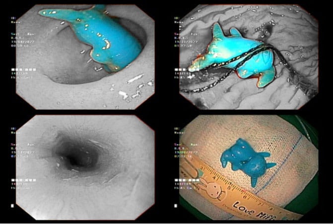 tre nuot phai do choi anh 1