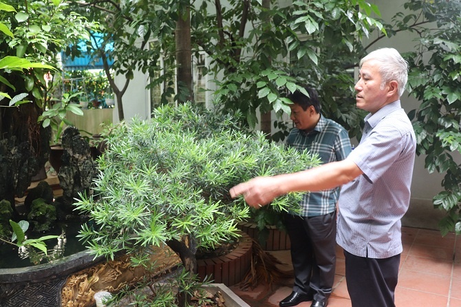 dinh dich sot xuat huyet anh 1