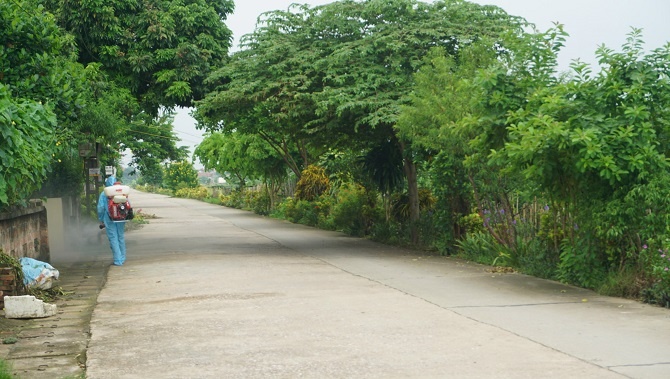 dich benh sot xuat huyet anh 1