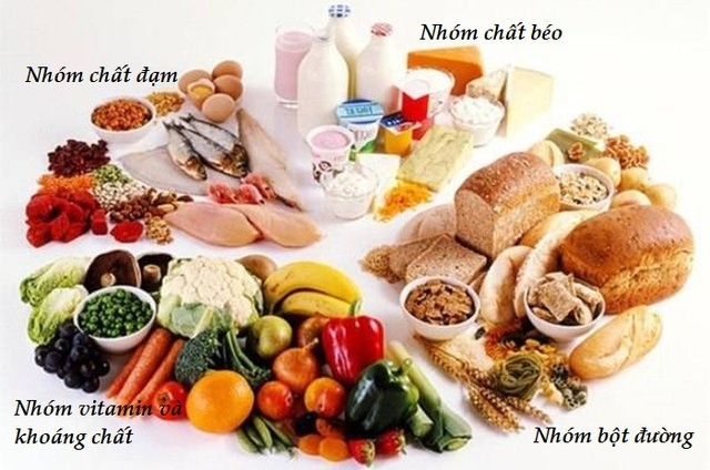 cho muối khi ăn dặm ảnh 1 cho muoi khi an dam anh 1