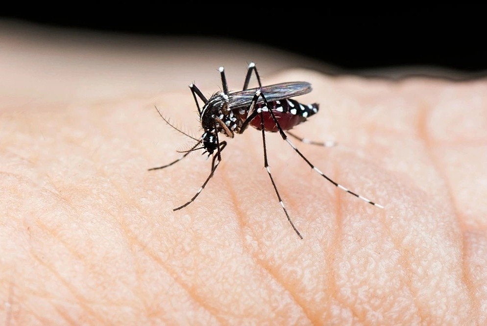 Quan trung tam tai Ha Noi ghi nhan hon 70 ca mac sot xuat huyet hinh anh