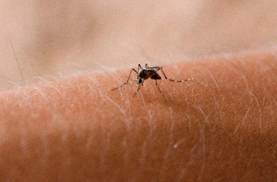 Xu ly 83 diem nguy co sot xuat huyet o TP.HCM qua thong tin tu app hinh anh