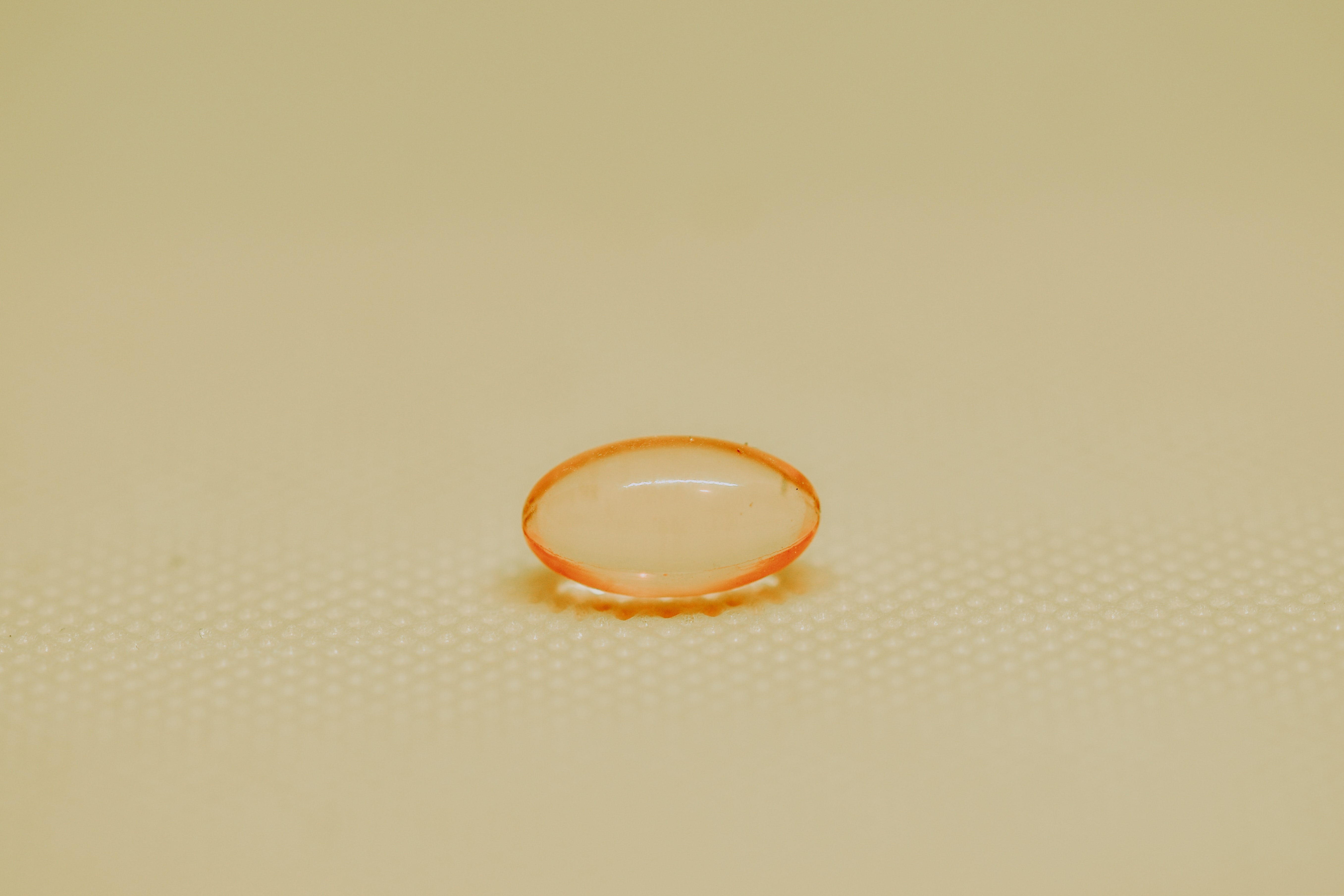 dau ca voi covid-19 anh 2