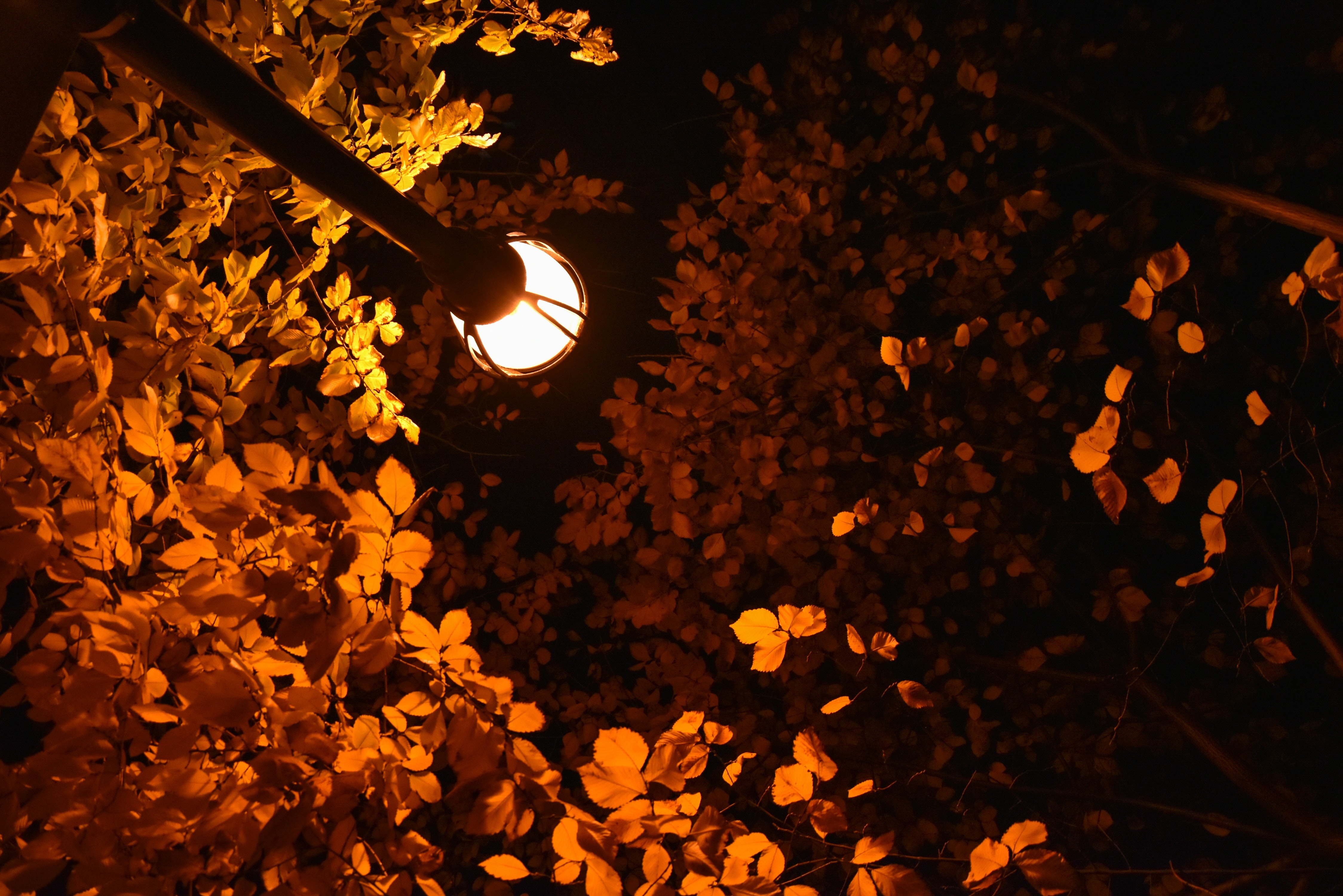 den duong va tieu duong anh 1