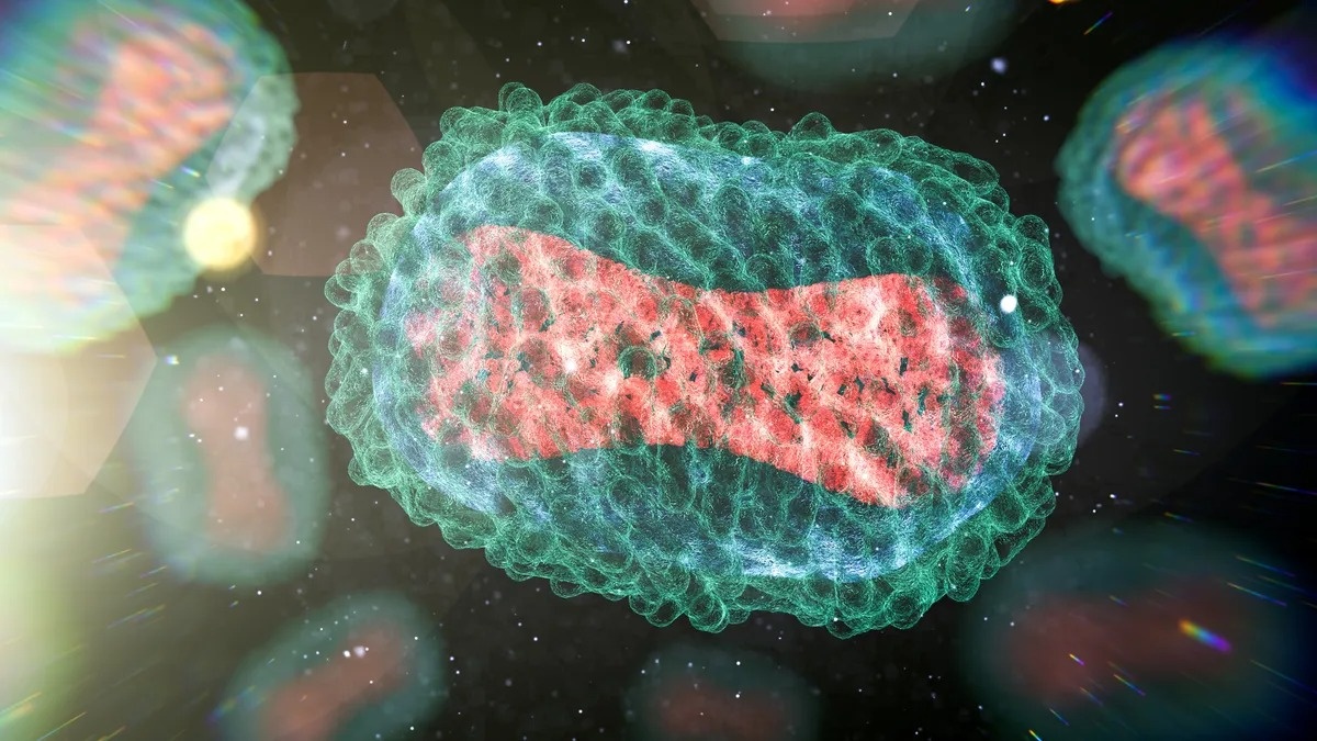 dich benh dau mua khi anh 1