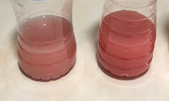 nuoc tieu duc lan mau anh 1