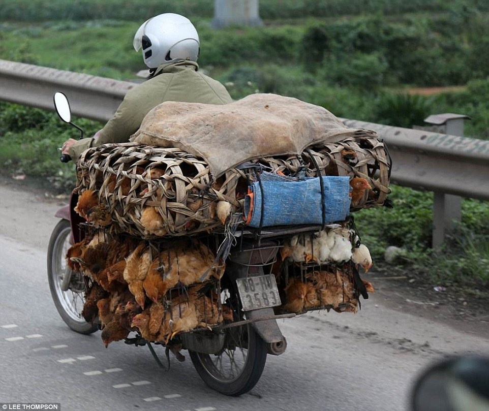 Tờ Daily Mail nhận định, hình ảnh xe máy chở những hàng hóa cồng kềnh chính là đặc điểm mà người nước ngoài rất ấn tượng khi đến Việt Nam. Tác giả bộ ảnh là anh Lee Thompson, nhiếp ảnh gia từng đưa tin ở vùng chiến sự Libya, Ai Cập trong giai đoạn nổi dậy, và sóng thần ở Nhật Bản. Anh vừa hoàn thành cuộc khám phá Việt Nam trong 2 tuần.