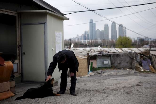 Khu ổ chuột Guryong đã trở thành biểu tượng của tình trạng bất bình đẳng ngày càng sâu sắc tại Hàn Quốc. 