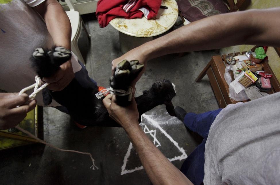 Joaquin khẳng định, ông có thể chữa hoàn toàn 