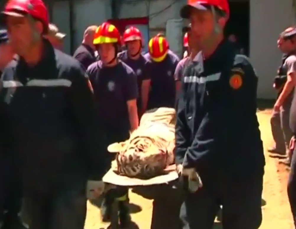 Canh sat ban ha ho du song chuong vo chet nguoi hinh anh