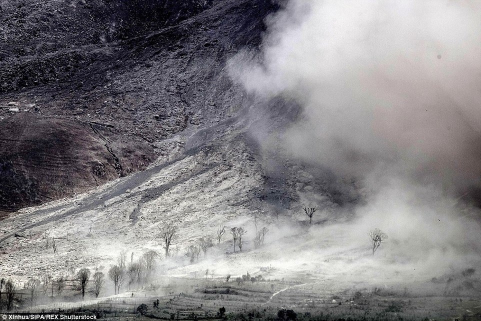 Ngoài việc gây xáo trộn sinh hoạt của dân chúng, tro bụi, khói núi lửa và nham thạch có thể tác động tiêu cực đến môi trường sống xung quanh.