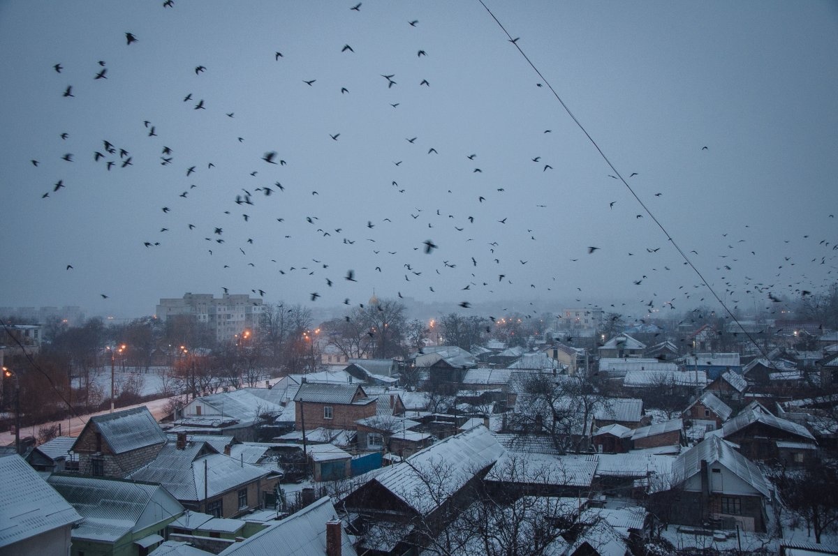 Thủ đô Tiraspol, địa phương đông dân nhất ở Transnistria (135.000 người), vào mùa đông. 