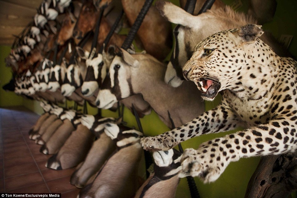 Ben trong xuong lot da 6.000 dong vat hoang da moi nam hinh anh